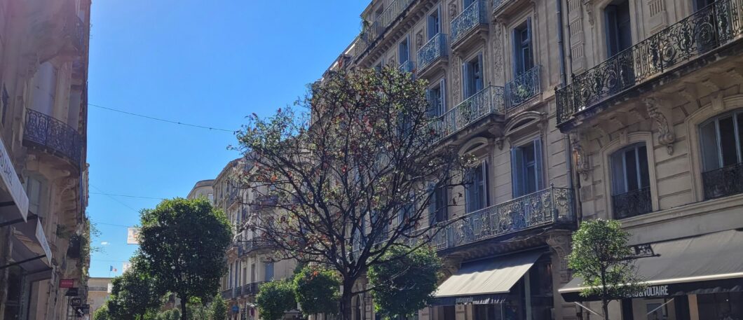 Montpellier : 1ère ville de France où il fait bon étudier selon le classement du Figaro